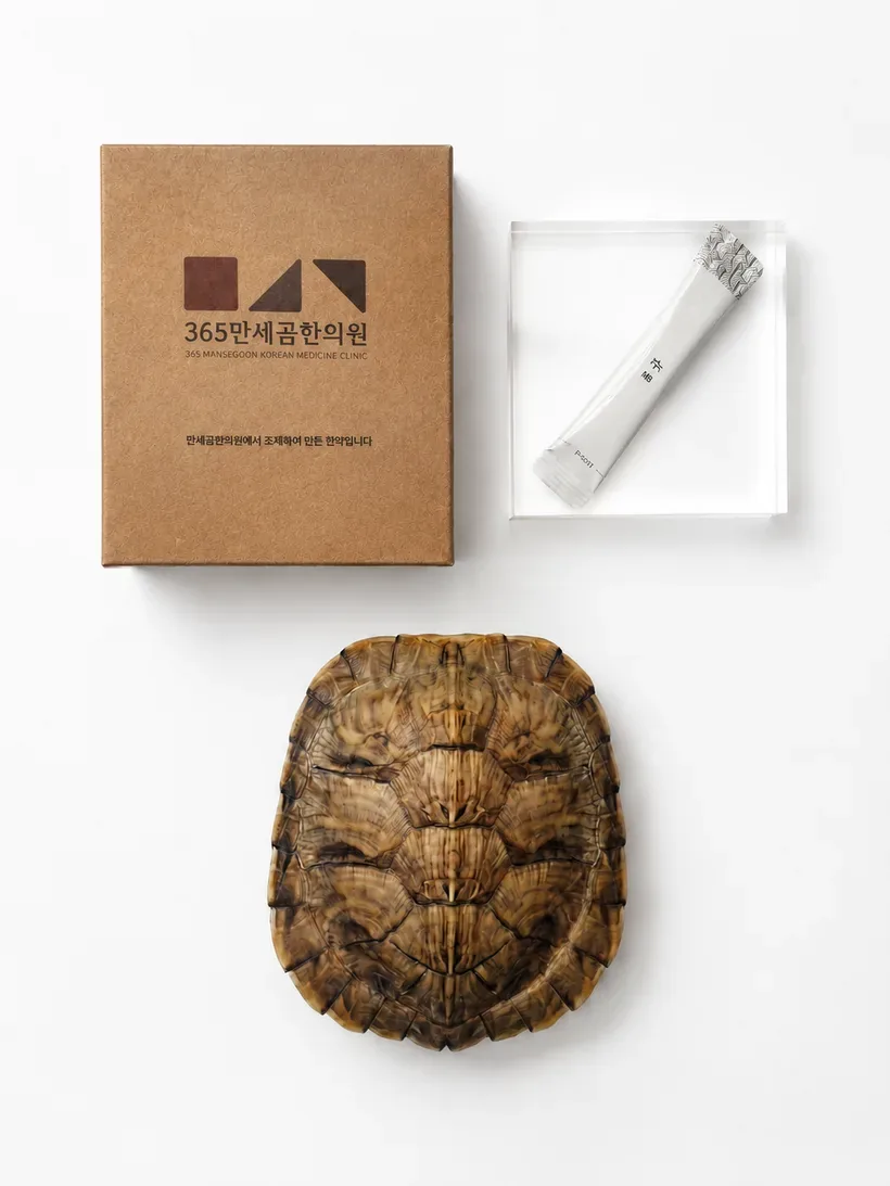 척추구판고